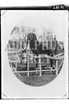 Lawrence - Copy Neg
