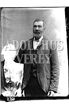 Davis