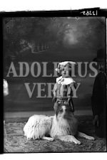 Voisey